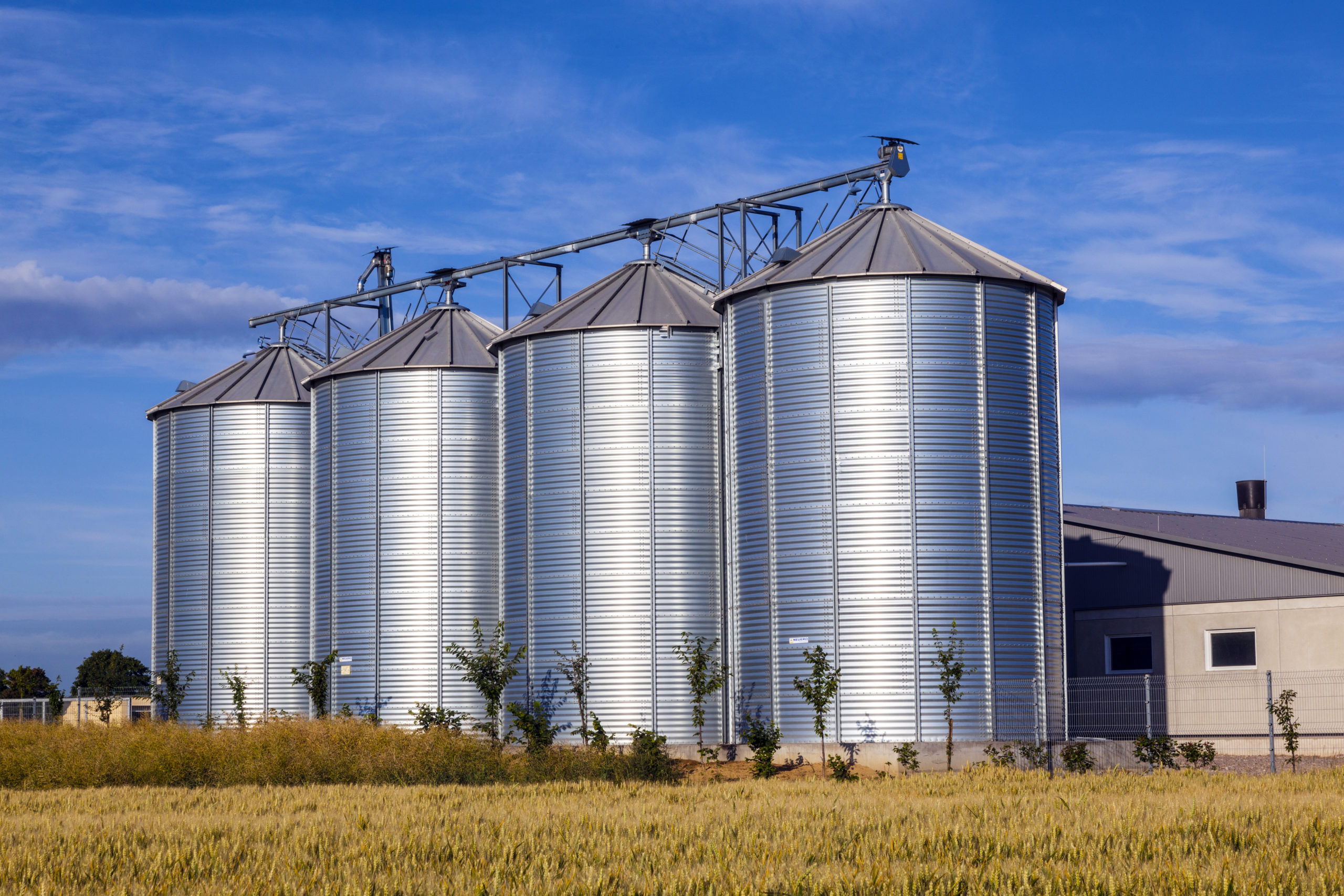 image of four grain bins on a farm in front of blue skies and green and brown grass